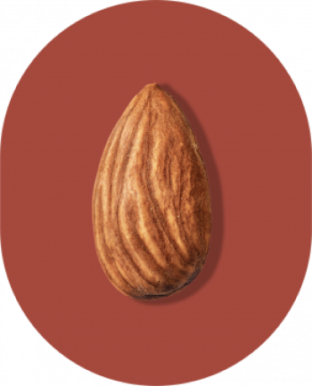 Roasted Almond