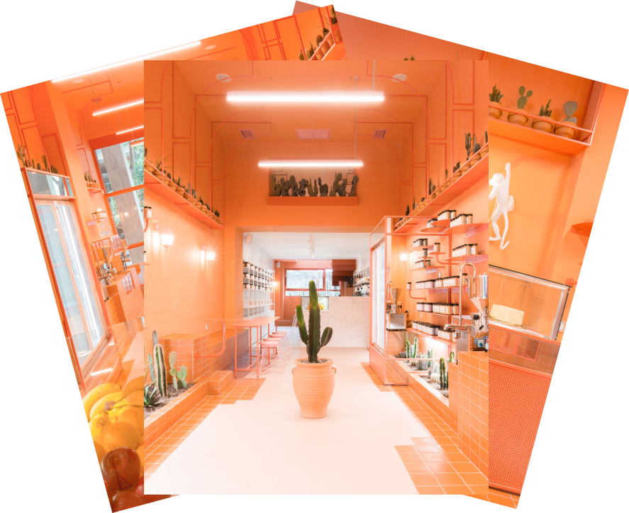 The Concept Store